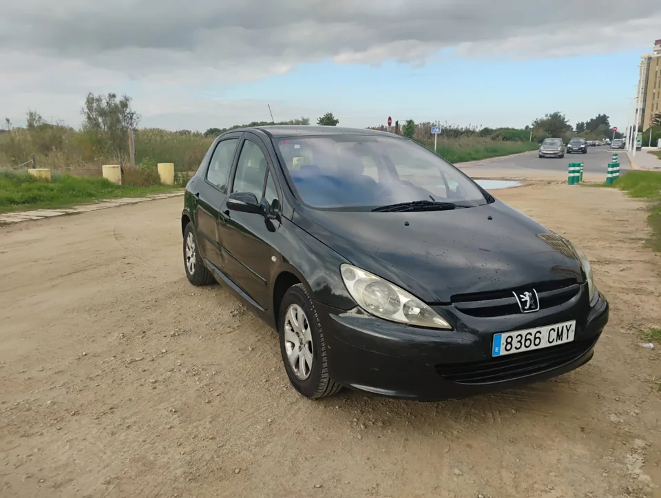 Peugeot 307 HDI 2004 — vista exterior